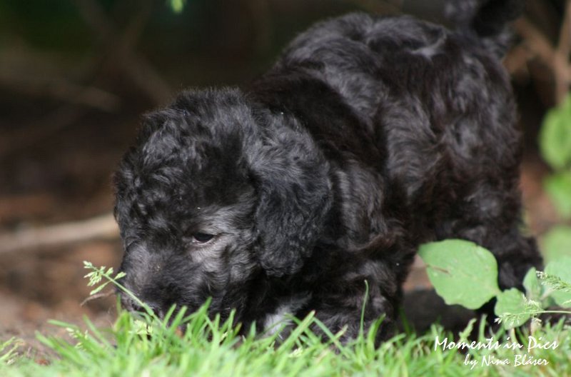 Arc-en-ciel Antares 2009-06-17 (12).JPG